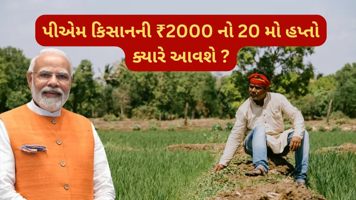 PMKSNY: પીએમ કિસાનની ₹2000 નો 20 મો હપ્તો ક્યારે આવશે ? જાણો તાજું અપડેટ